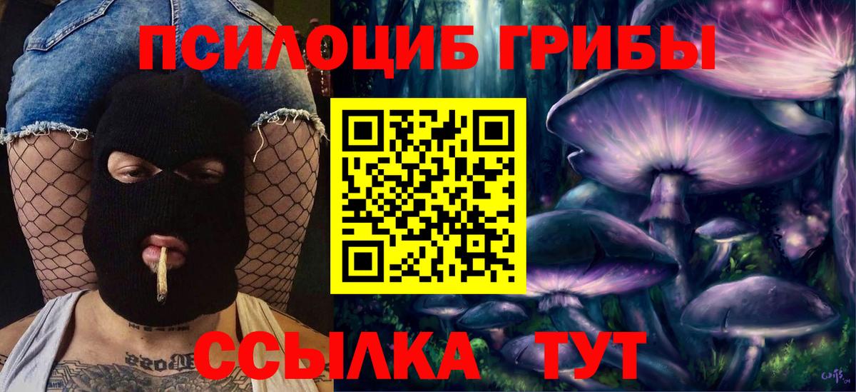Псилоцибиновые грибы MAGIC MUSHROOMS Красный Сулин