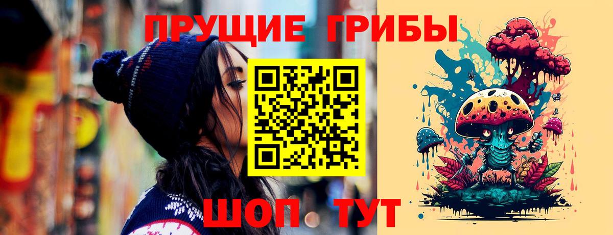 Красный Сулин  Псилоцибиновые грибы Cubensis  Вход с VPN 